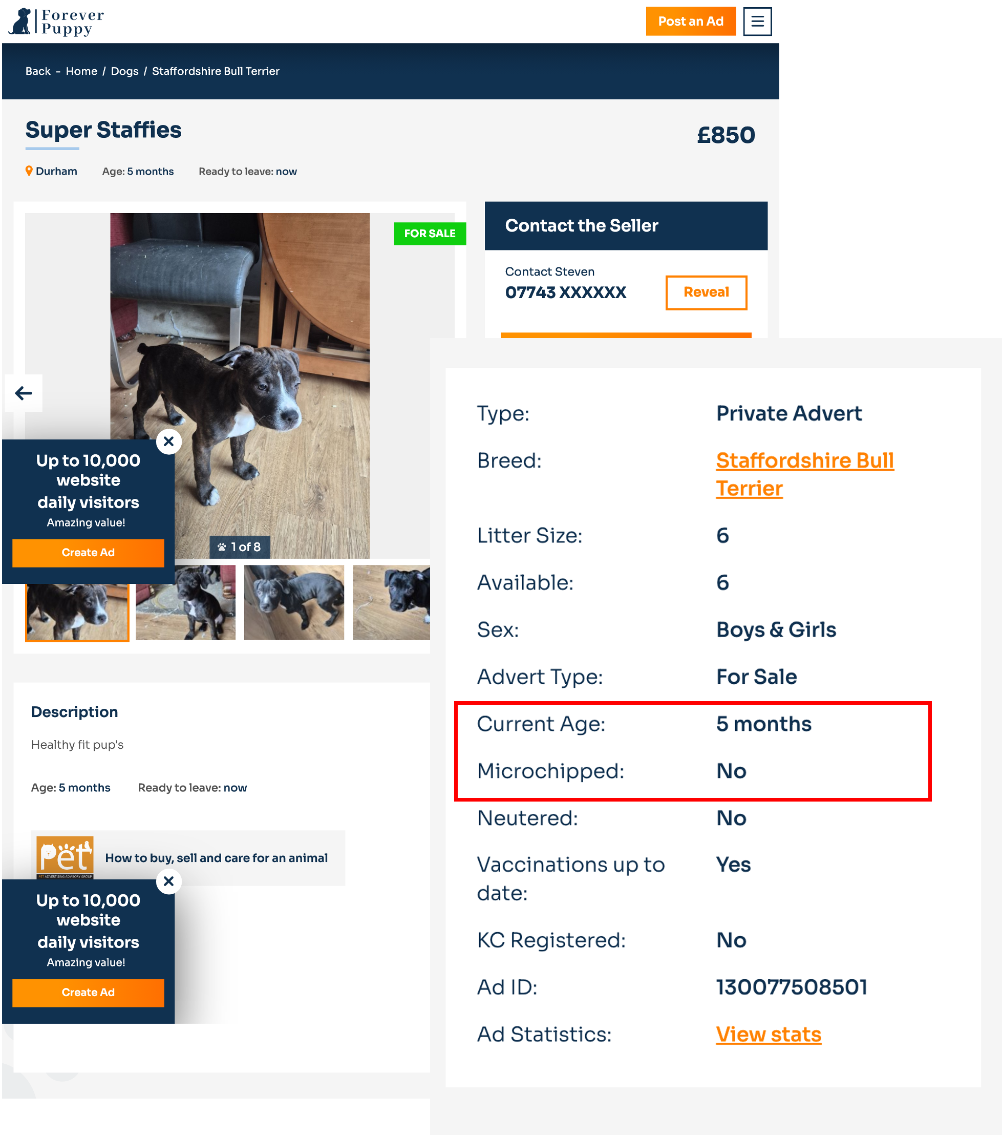 ForeverPuppy example