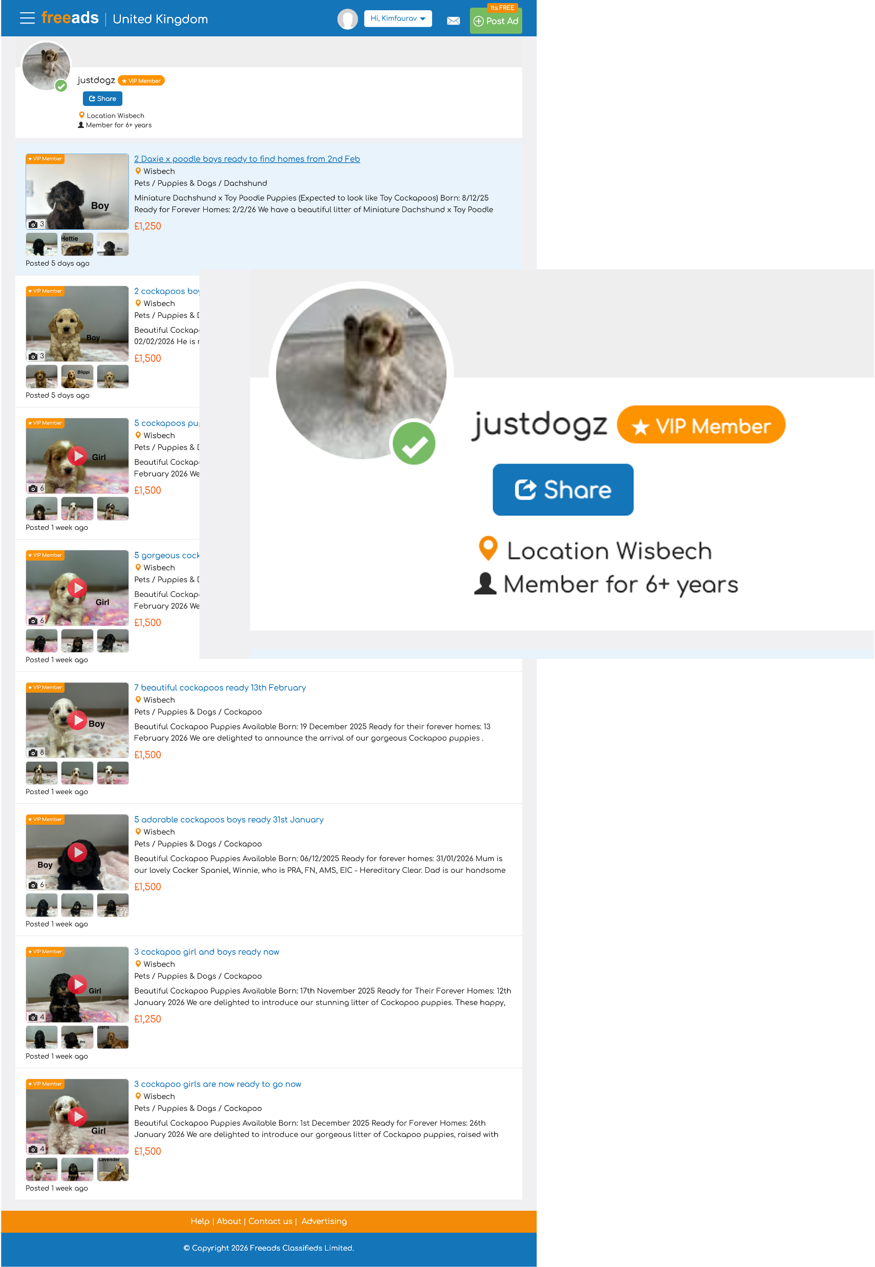 FreeAds seller profile