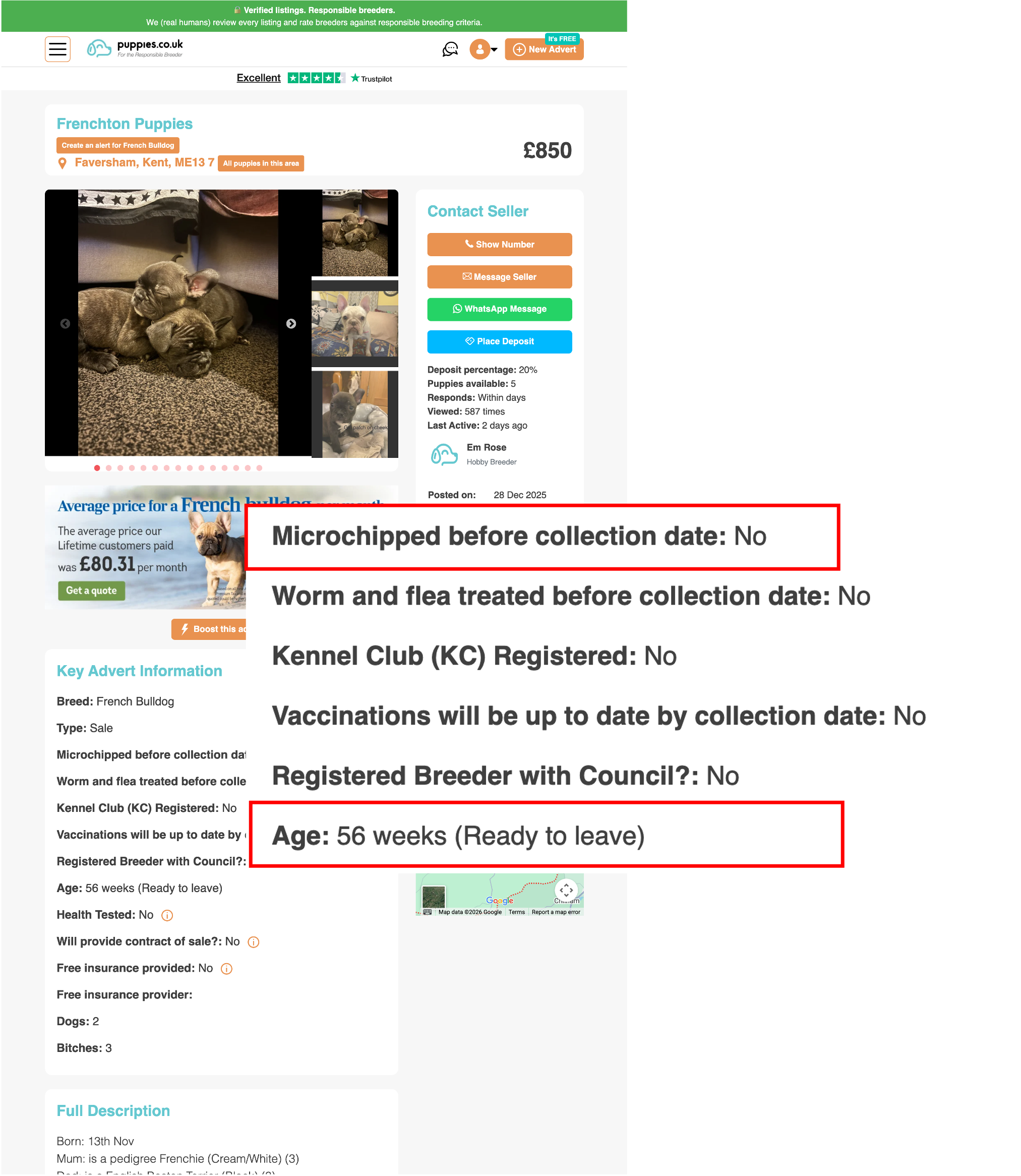 Puppies.co.uk example